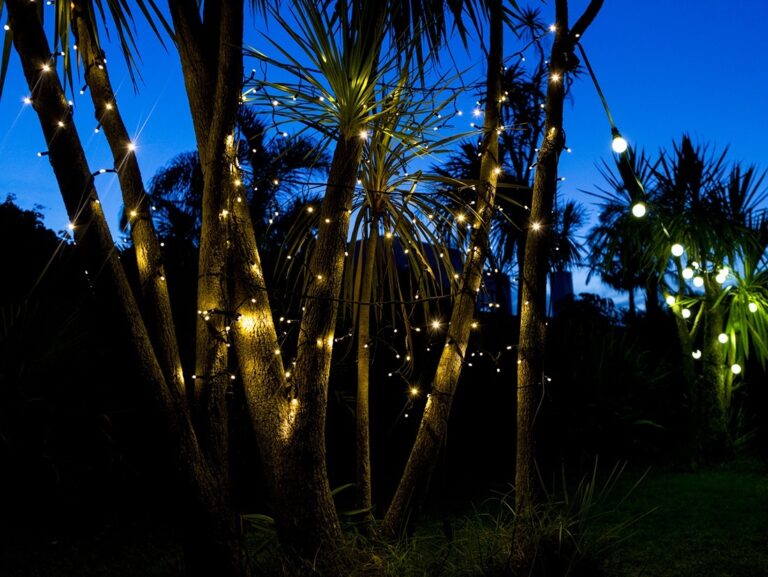 Quality Outdoor Fairy Lights For All Year Round