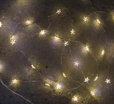 10M SEED Lights With STARS – Plug In