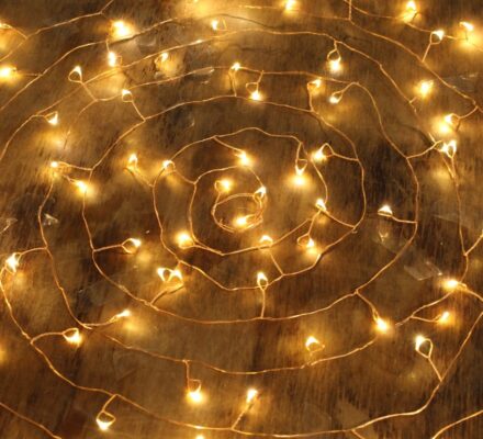 Firecracker SEED Lights – Copper Or Silver Wire 5M BATTERY